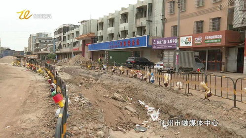 我市舊茂化路市政改造工程全力推進，打造更暢通宜居的城市動脈