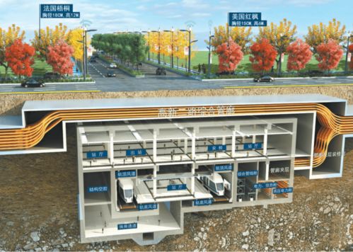 市政道路主干道順利竣工，城市發展再添新動力